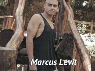 Marcus_Levit