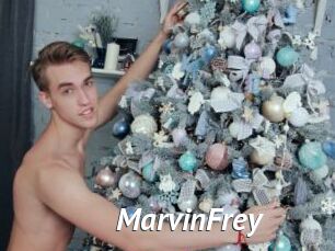 MarvinFrey