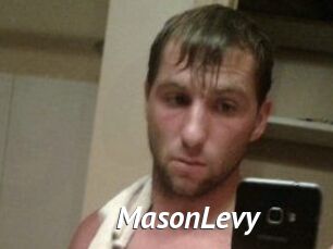 Mason_Levy