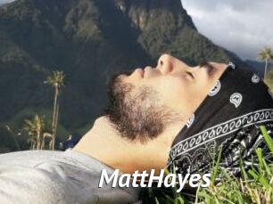 MattHayes