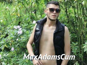 MaxAdamsCum