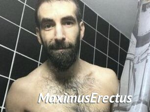 MaximusErectus