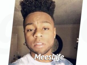 MeesLife