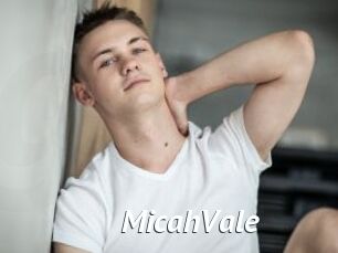 MicahVale Gay Vod