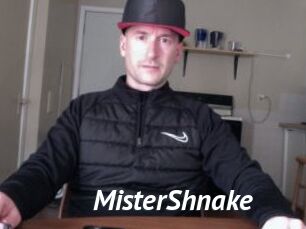 MisterShnake