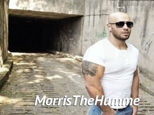 MorrisTheHumme