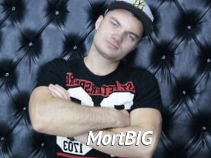 MortBIG