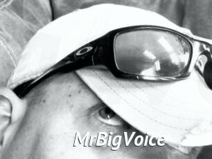 MrBigVoice