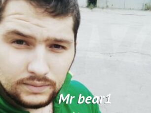 Mr_bear1