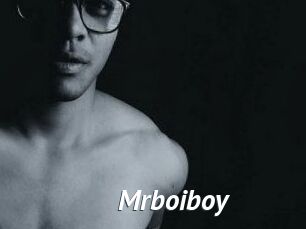 Mrboiboy
