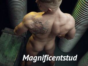 Magnificentstud