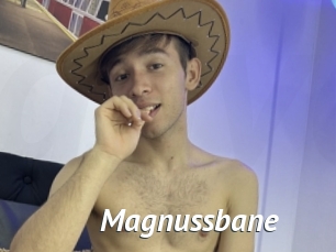 magnussbane Gay Vod