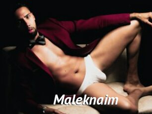 Maleknaim