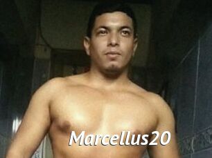 Marcellus20
