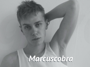 Marcuscobra