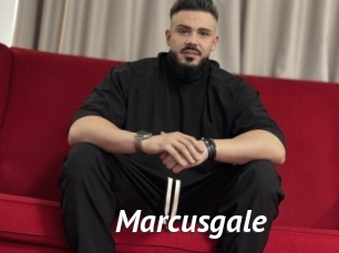 marcusgale Gay Vod