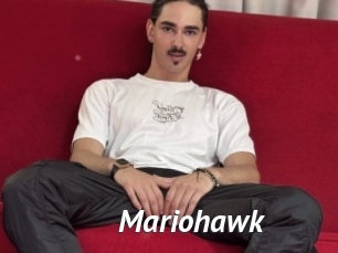 Mariohawk