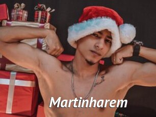 Martinharem