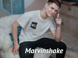 Marvinshake