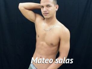 Mateo_salas