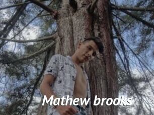 Mathew_brooks