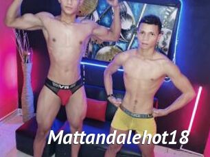 mattandalehot18 Gay Vod