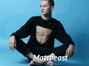 Mattbeast