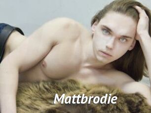 Mattbrodie
