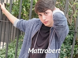 Mattrobert
