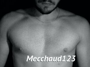 Mecchaud123