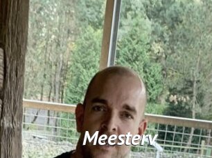 Meesterv