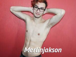 Merlinjakson