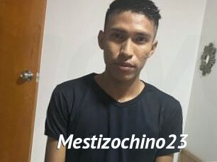 Mestizochino23