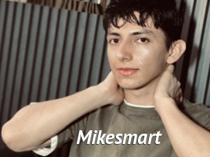 Mikesmart