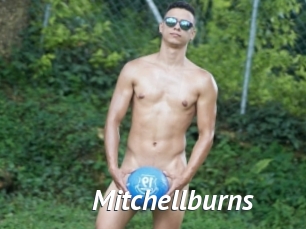 Mitchellburns