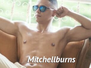 Mitchellburns