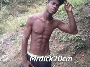 Mrdick20cm