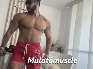 Mulatomuscle