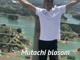 Mutachi_blosom