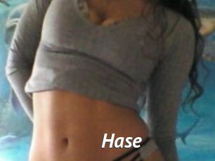 Hase