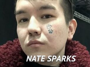 NATE_SPARKS