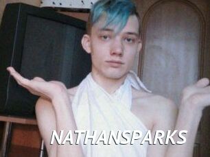 NATHAN_SPARKS