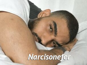 Narcisonefer