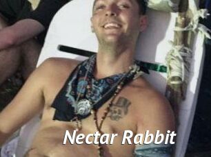 Nectar_Rabbit