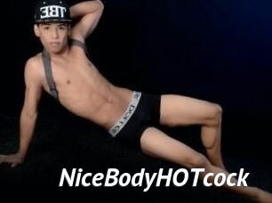 NiceBodyHOTcock