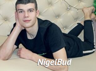 NigelBud