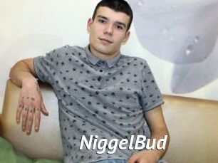 NiggelBud