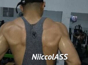 NiiccolASS