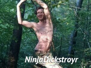 NinjaDickstroyr