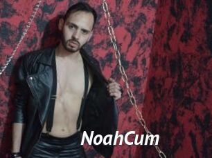 NoahCum
